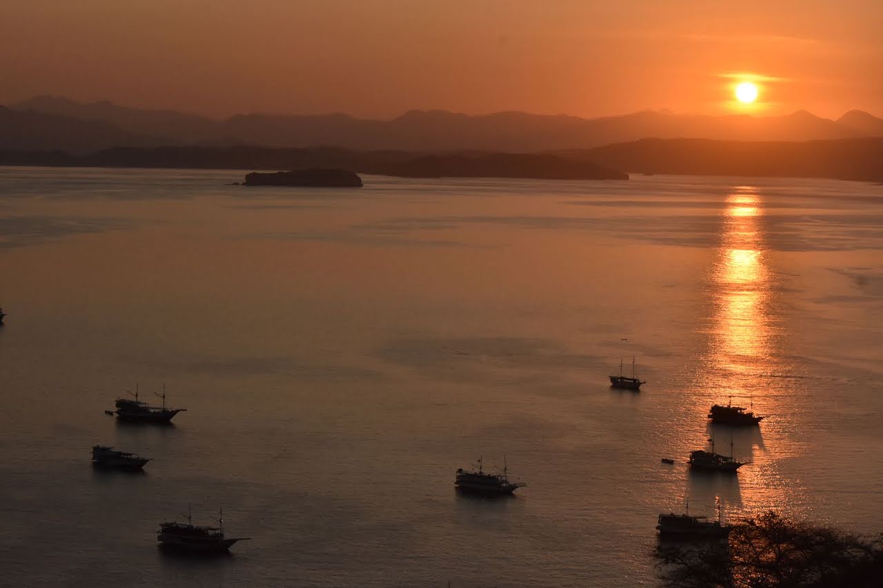 Sunset Cruise EA Gifts